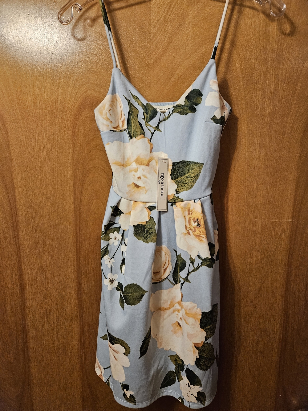 Monteau Light Blue Midi Dress with Rose Print